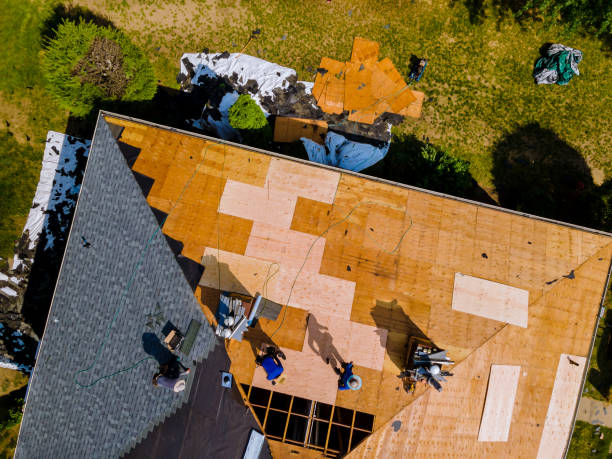 Best Roof Repair Services  in Cedar Grove, WI