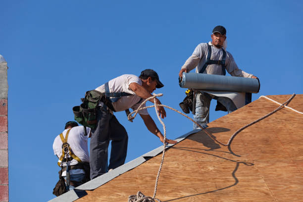 Best Roof Maintenance Services  in Cedar Grove, WI
