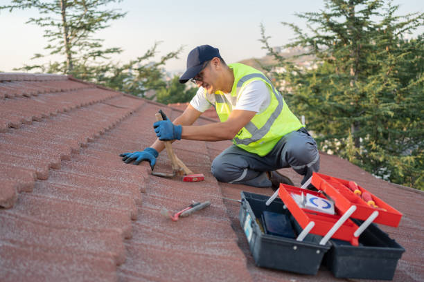 Best Shingle Roofing Installation  in Cedar Grove, WI
