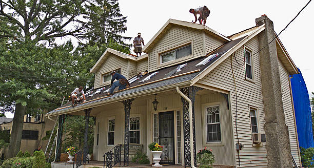 Best Gutter Installation and Roofing  in Cedar Grove, WI