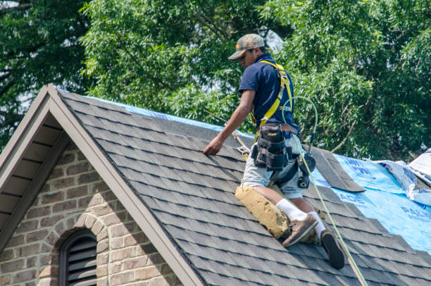 Best Residential Roofing Contractor  in Cedar Grove, WI